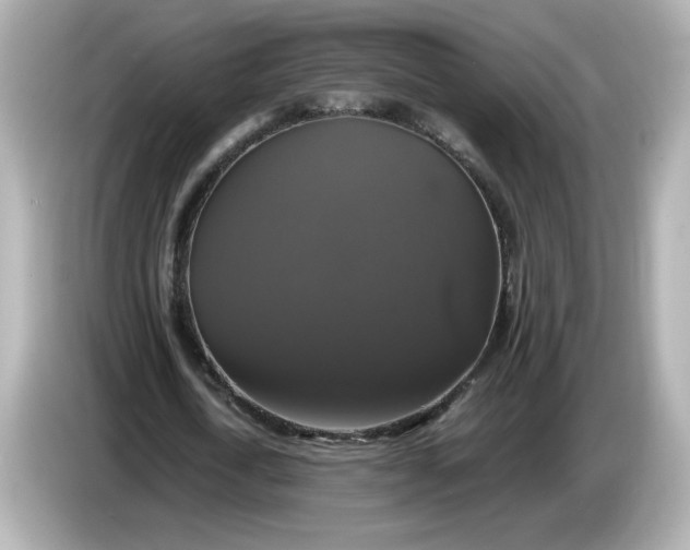 X0000086010722200704091055