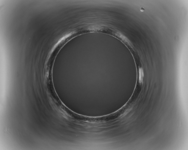 X0000086010723200704091055