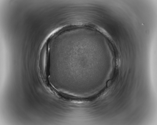 X0000086010724200704091055