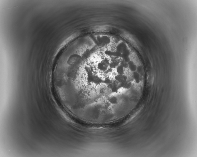 X0000086010725200704091055