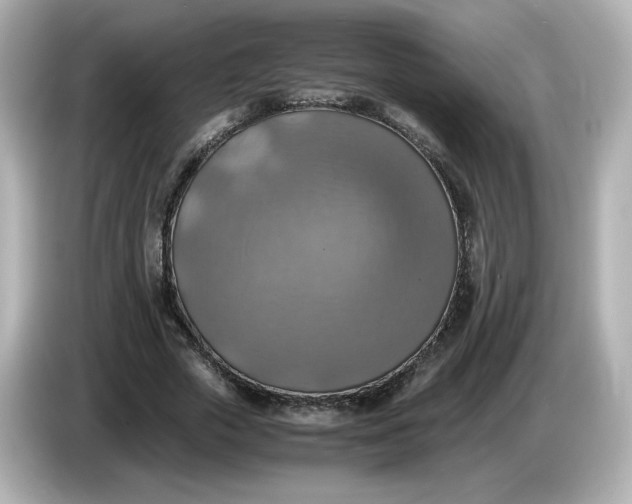 X0000086010729200704091055