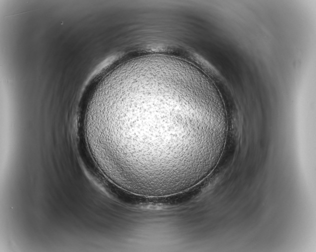 X0000086010730200704091055