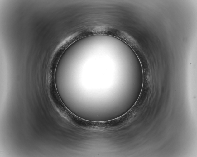X0000086010732200704091055