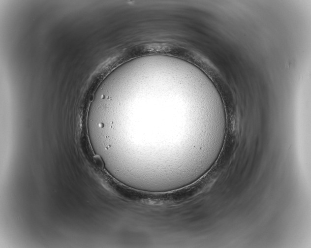 X0000086010733200704091055