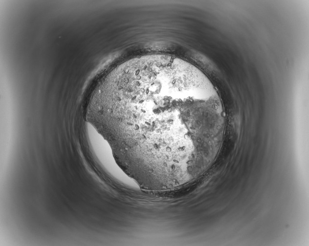 X0000086010734200704091055