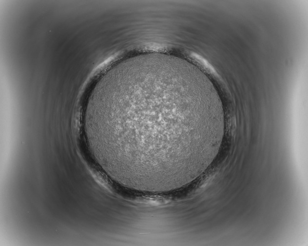 X0000086010736200704091055