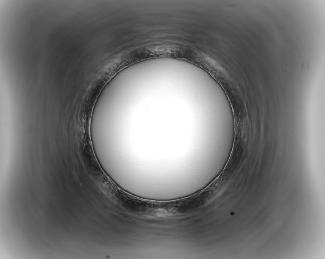 X0000086010737200704091055