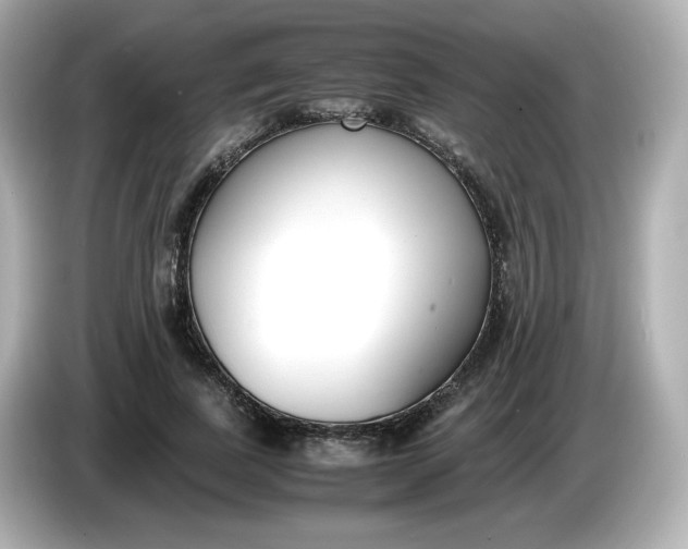 X0000086010739200704091055