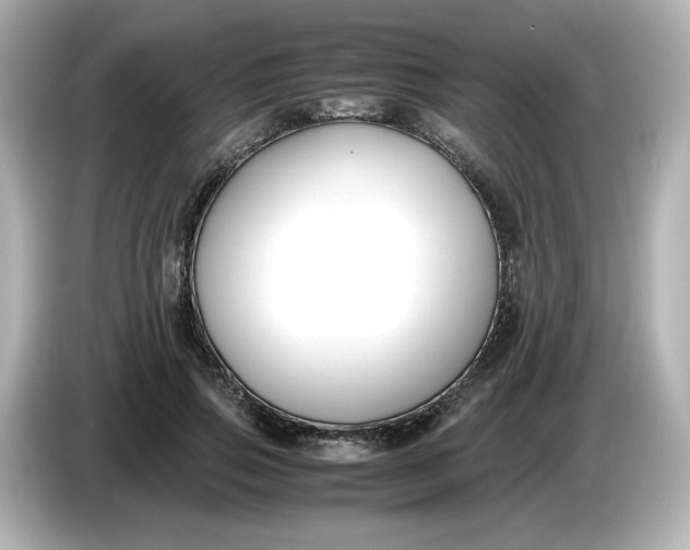 X0000086010741200704091055