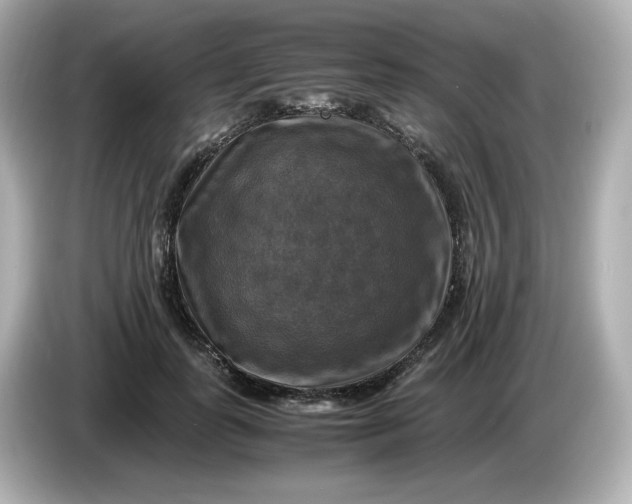 X0000086010747200704091055
