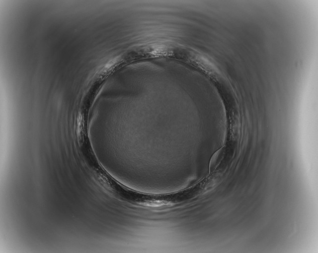 X0000086010748200704091055