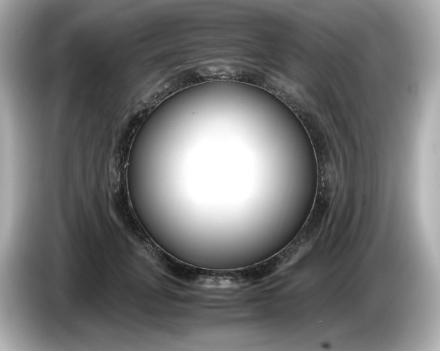 X0000086010751200704091055