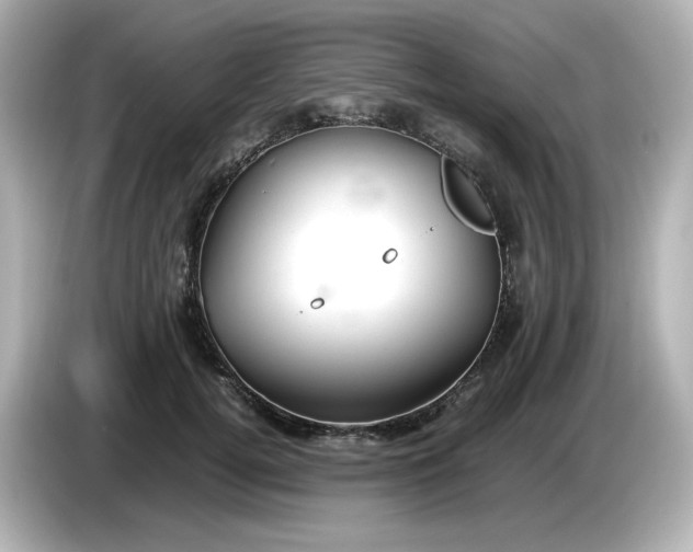 X0000086010752200704091055