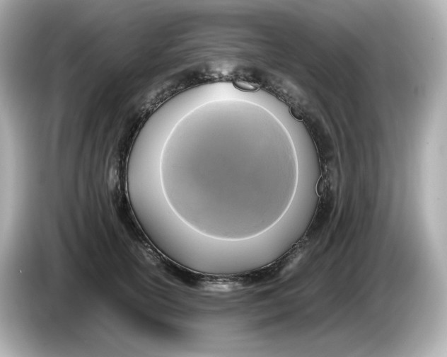 X0000086010754200704091055