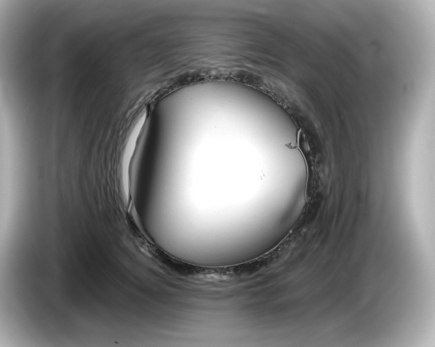 X0000086010756200704091055