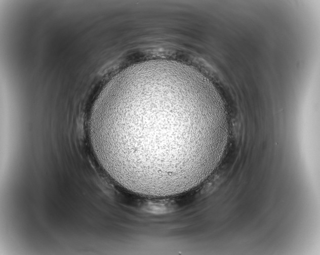 X0000086010757200704091055