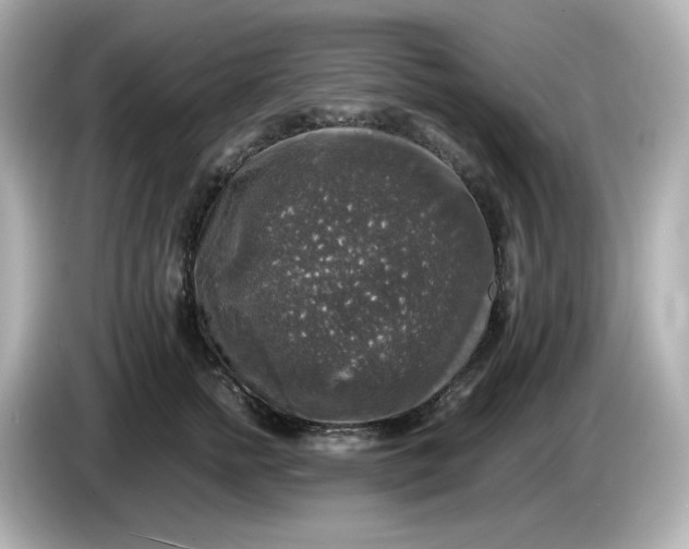 X0000086010758200704091055
