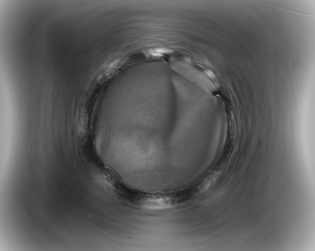 X0000086010760200704091055
