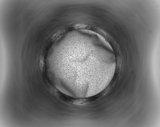 X0000086010761200704091055