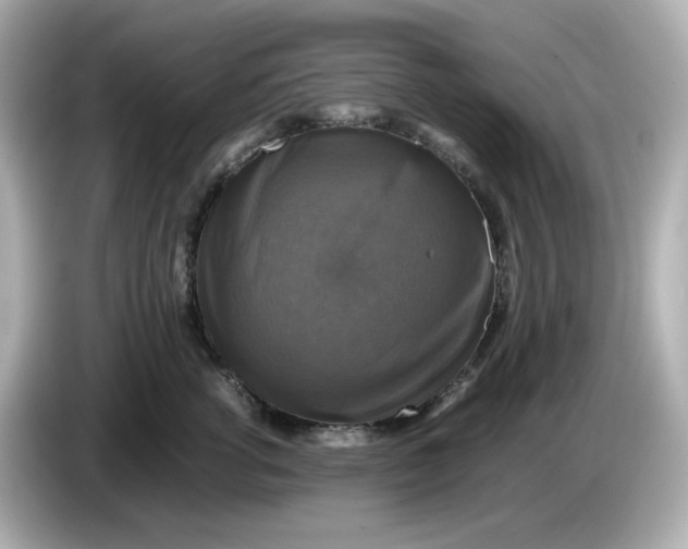 X0000086010762200704091055