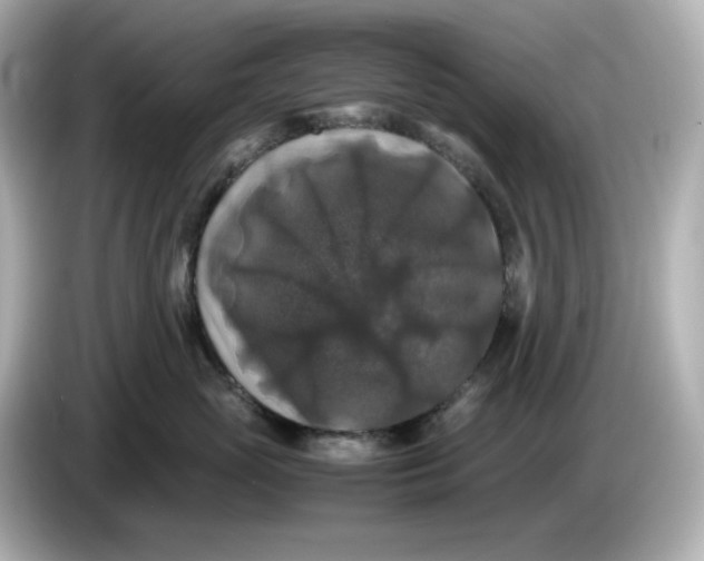 X0000086010765200704091055