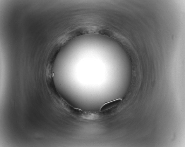 X0000086010768200704091055