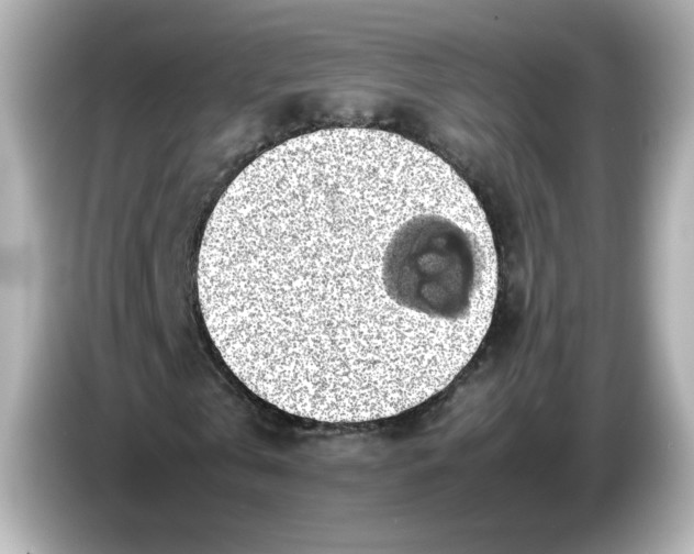 X0000086010769200704091055