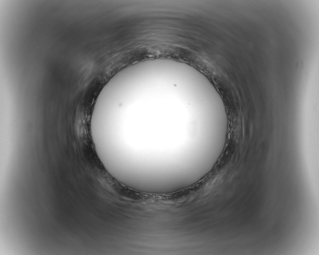 X0000086010770200704091055