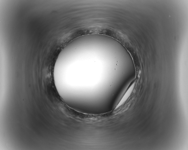 X0000086010771200704091055