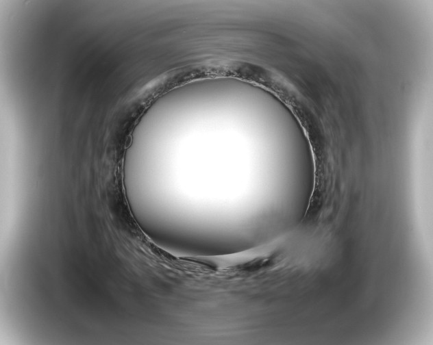 X0000086010773200704091055
