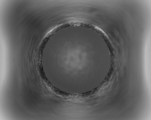 X0000086010775200704091055