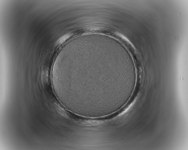 X0000086010777200704091055