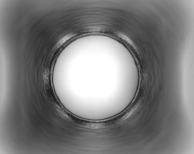X0000086010778200704091055