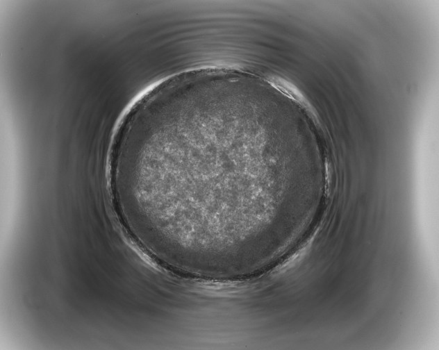 X0000086010780200704091055