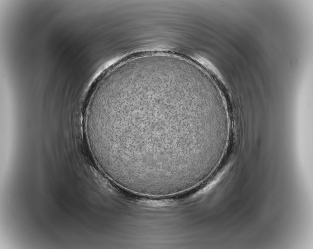 X0000086010781200704091055