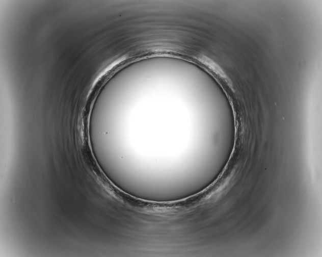 X0000086010782200704091055