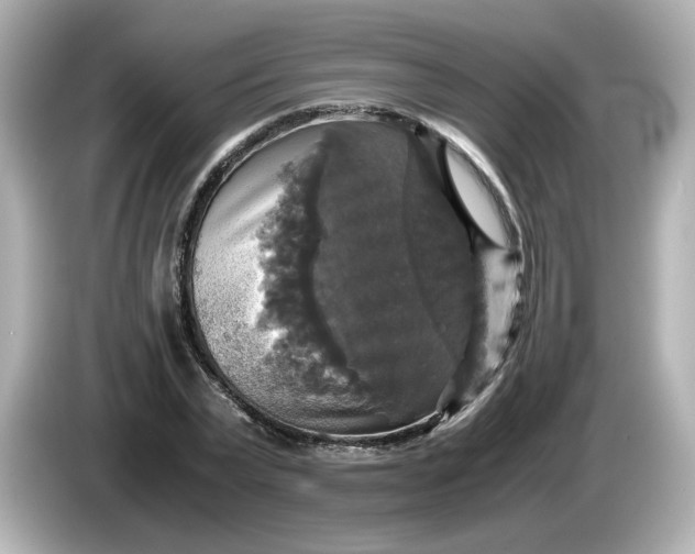 X0000086010783200704091055