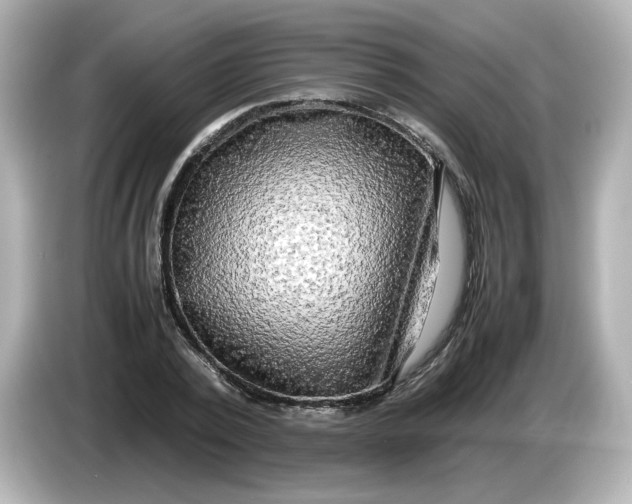X0000086010784200704091055