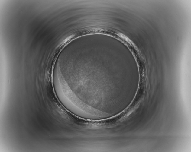 X0000086010785200704091055