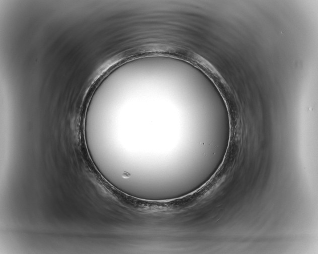 X0000086010786200704091055