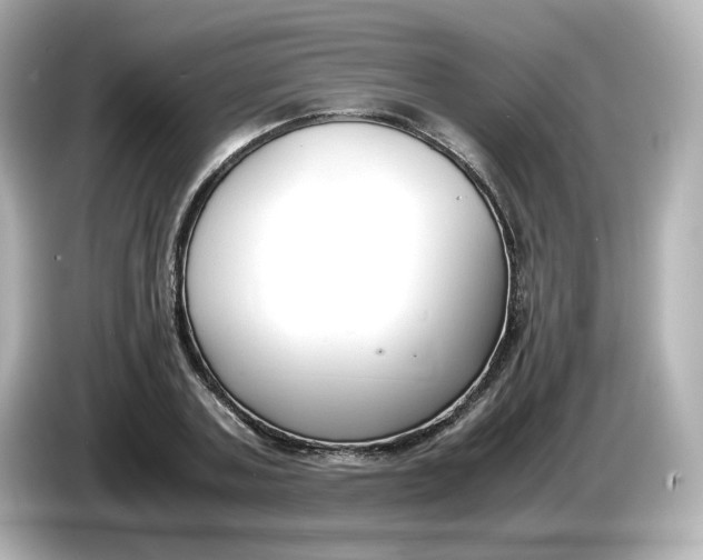 X0000086010787200704091055