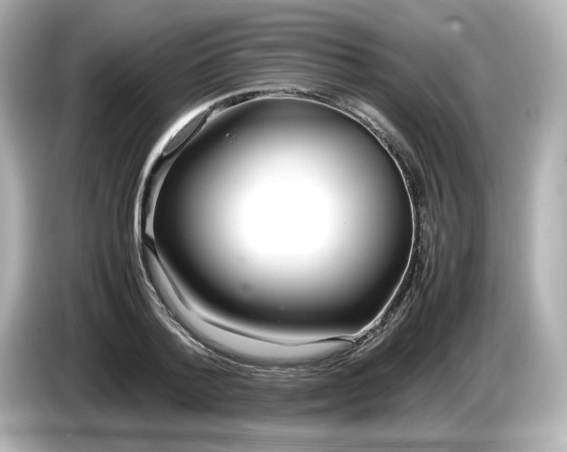 X0000086010788200704091055