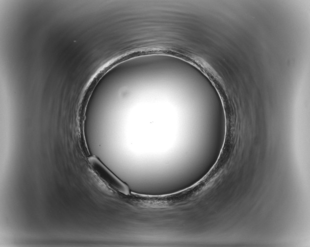 X0000086010789200704091055