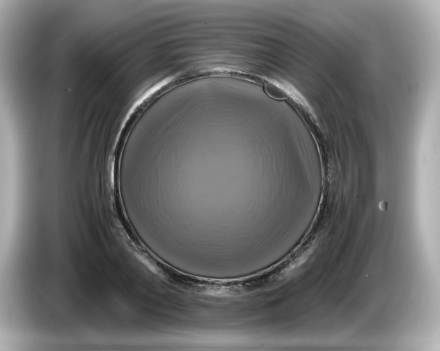 X0000086010790200704091055