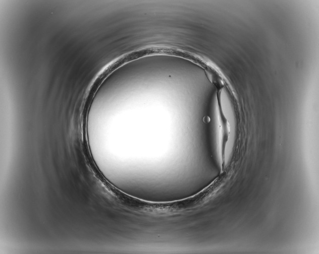 X0000086010791200704091054