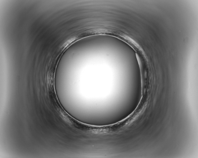 X0000086010793200704091054