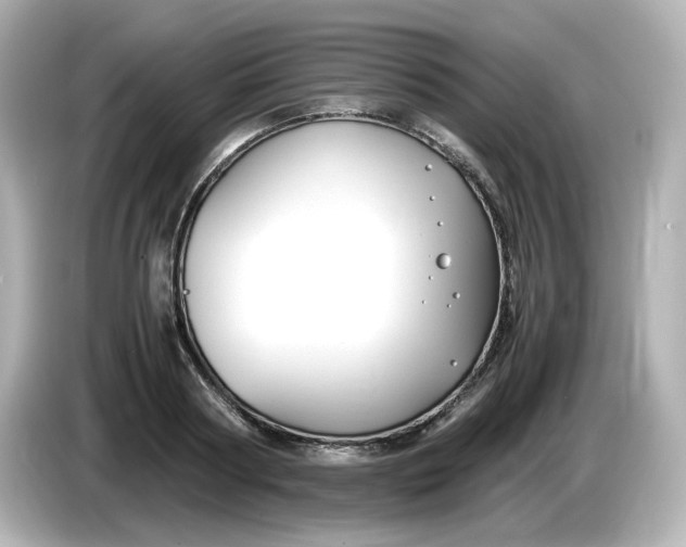 X0000086010794200704091054