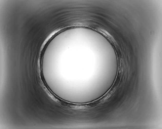 X0000086010796200704091054