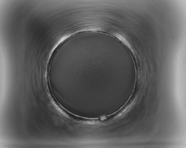 X0000086010797200704091054