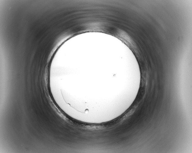 X0000086010804200704091054